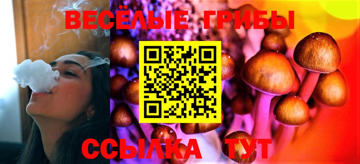 Галлюциногенные грибы мухоморы  Галлюциногенные грибы GOLDEN TEACHER  Зерноград  Вход с VPN 